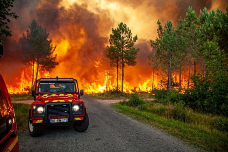שריפת ענק בצרפת (צילום:  SDIS 33/Handout via REUTERS)