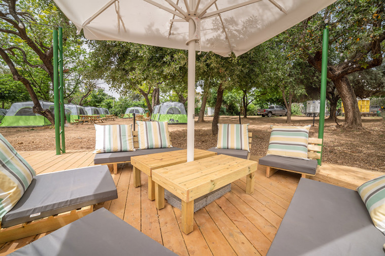 מטיילים דפנה