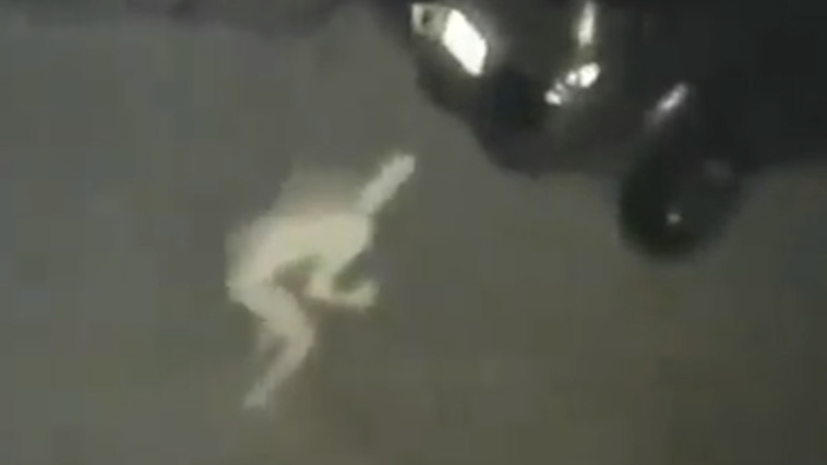 מתקרב למכונית של הבעלים בחצר האחורית, יצור מסתורי