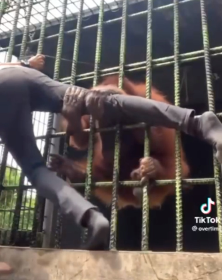 כמעט שבר את רגלו של האיש