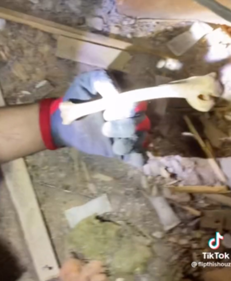 הזכיר להם שרידי שלד אדם