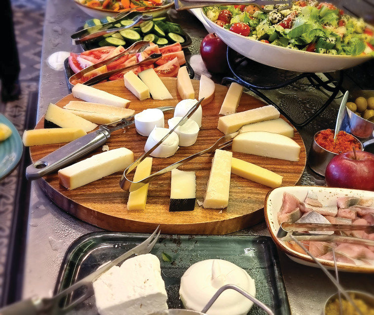 גבינות בקלוני חיפה