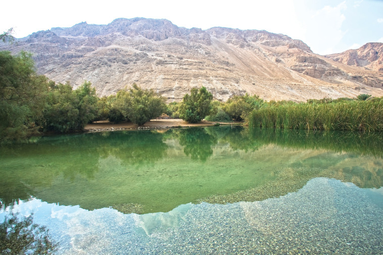 עיינות צוקים
