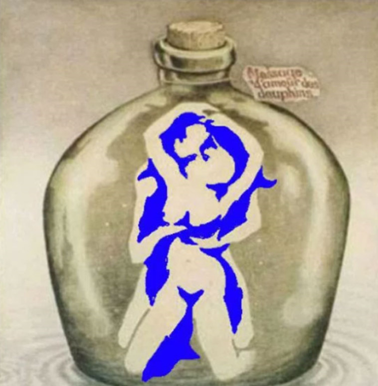 הדולפינים - מרכיבים את קווי המתאר של הזוג