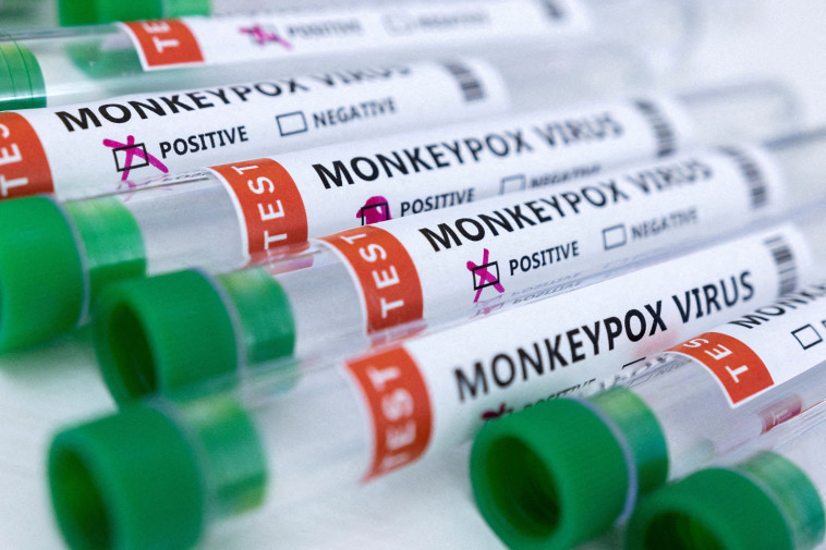אבעבועות הקוף (צילום: רויטרס)