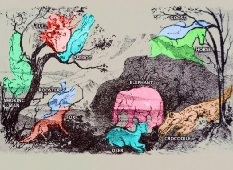 בעלי החיים המוסווים, למי שלא מצא