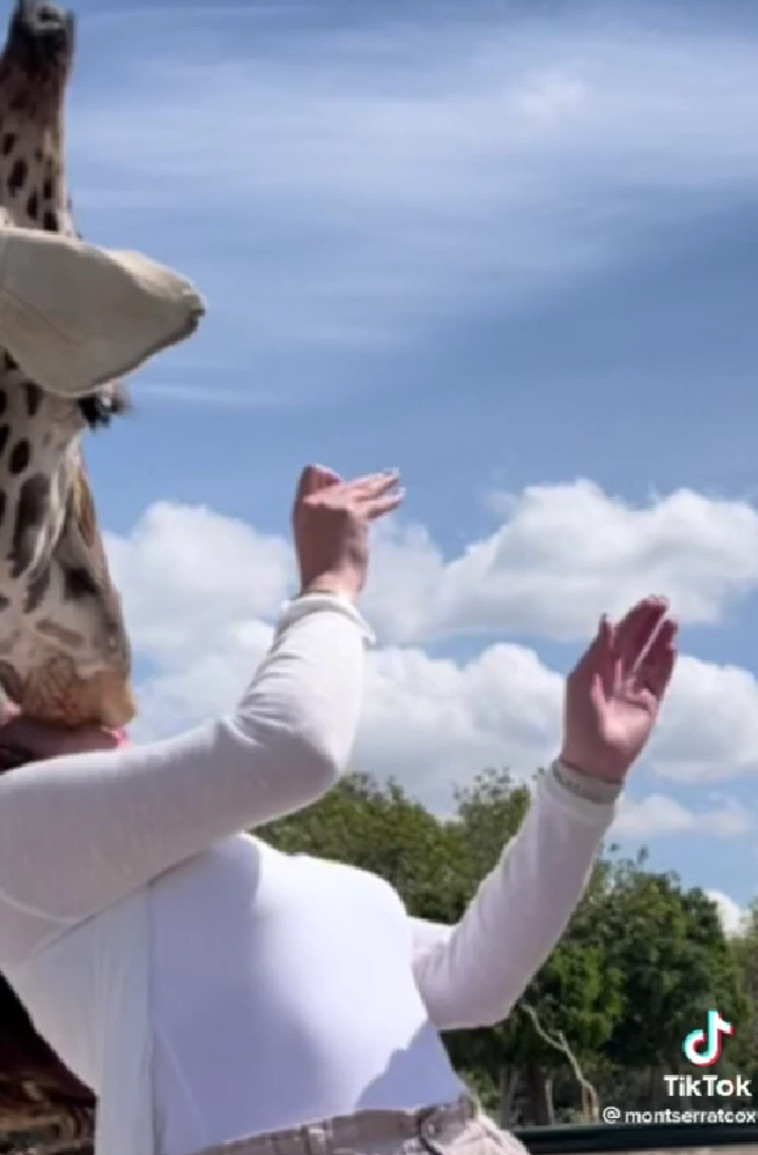 לפני רגע היה מרגש