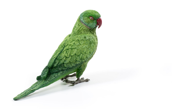 דרדרה, התכנסות ציפורים - מוזיאון תל אביב 