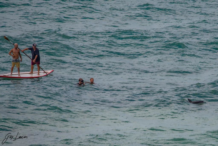 Documentez le moment spectaculaire (photo : Guy Levian et Alon Pan, Nature and Parks Authority)