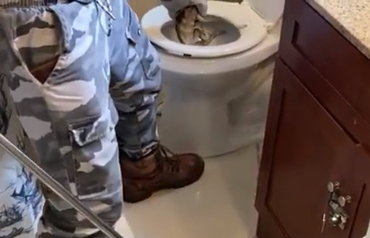 רגע הלכידה המצמרר