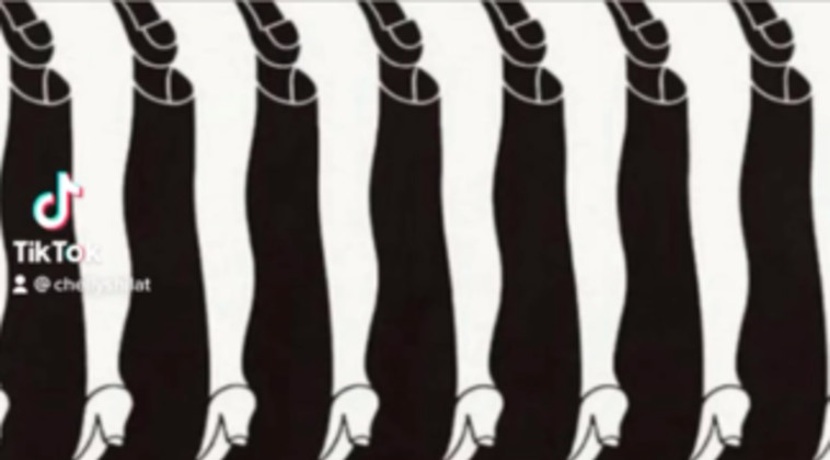 רגליים של נשים או של גברים? מה ראיתם קודם?