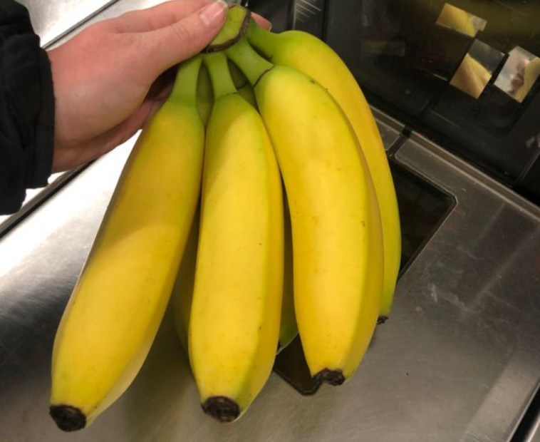 נראות מושלמות כלפי חוץ