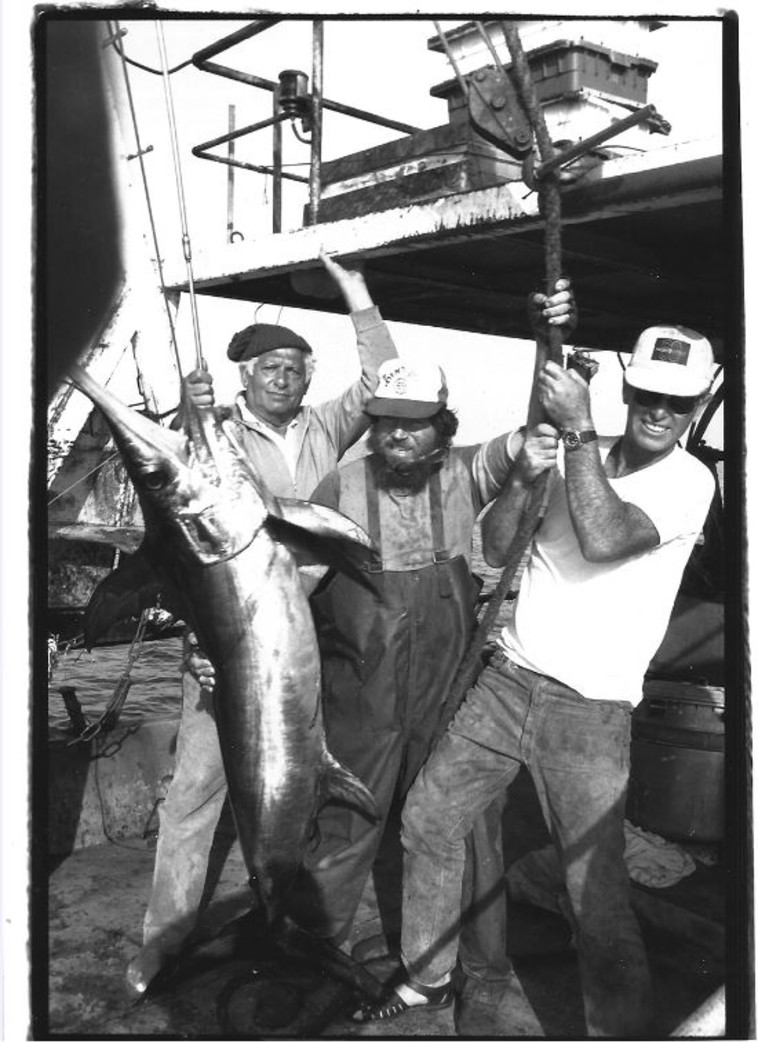 אורי שרון גולי דג חרב 