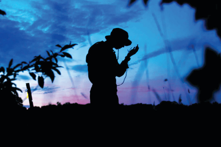 תמונה כחולה