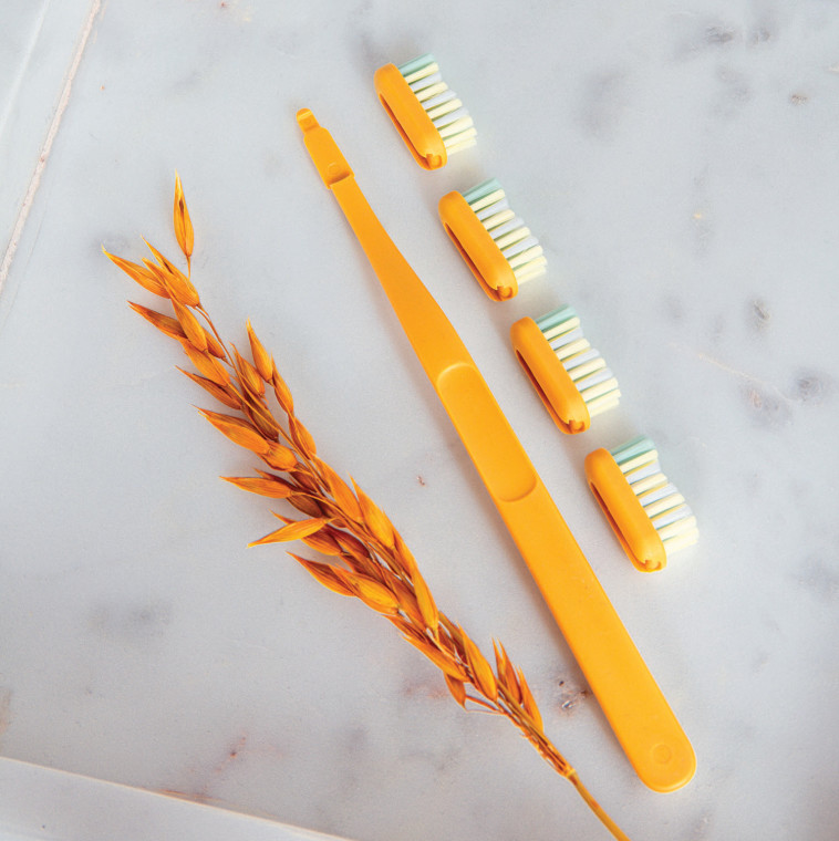 מברשת שיניים של ג'ורדן