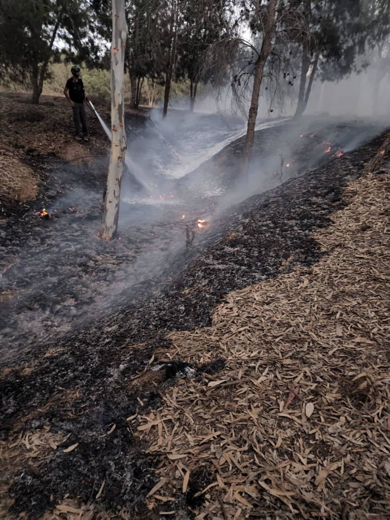 השריפה ביער קק''ל (צילום: כב''ה)