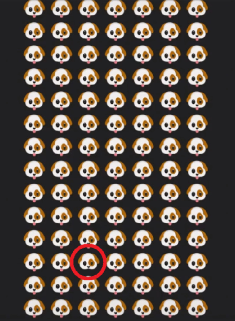 הפתרון לפניכם