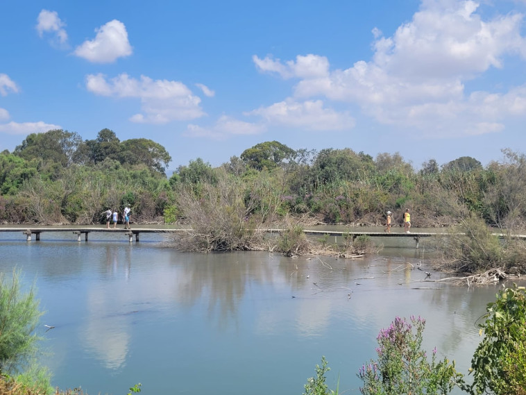 שמורת הטבע עין אפק