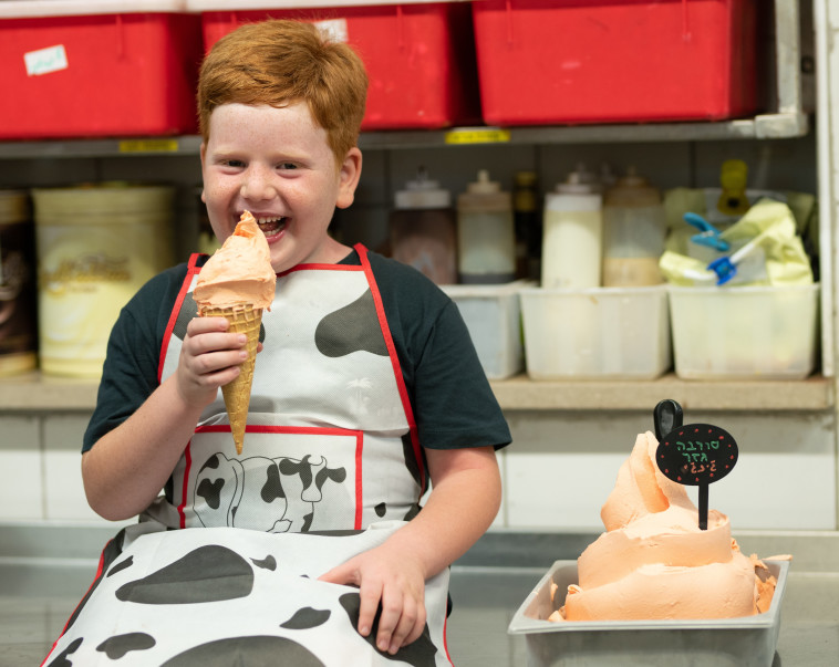 פסטיבל ג'ינג'ים ביטבתה