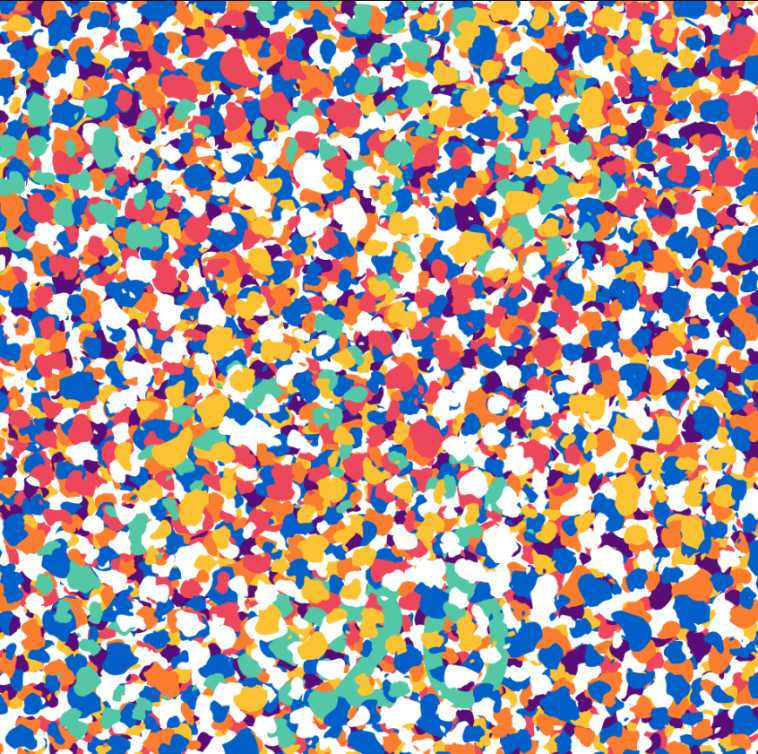 בזו כבר ממש הסתבכנו