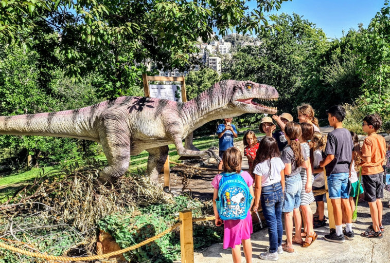 בוטניזאור בגן הבוטני בירושלים אוגוסט 22  (צילום: תום עמית)