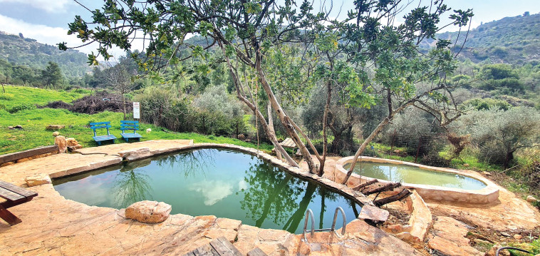 בריכות מעיין דולב