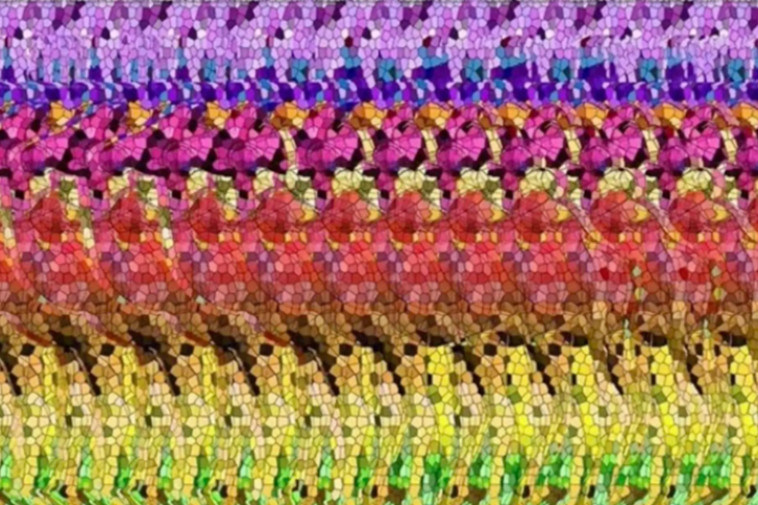 אוטוסטריאוגרמה - מתעתעת במוח שלנו