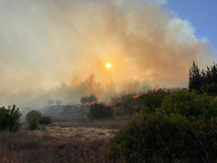 שריפה משתוללת סמוך לבית שמש  (צילום: דוברות כב''ה מחוז ירושלים)