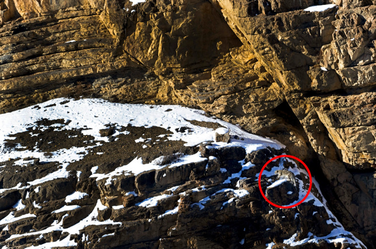 לא נורא אם לא מצאתם