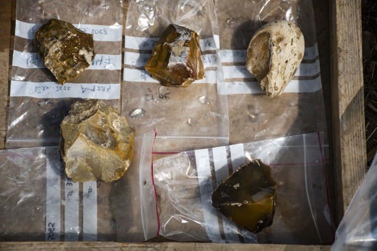 כלי צור מהתקופה הפליאוליתית