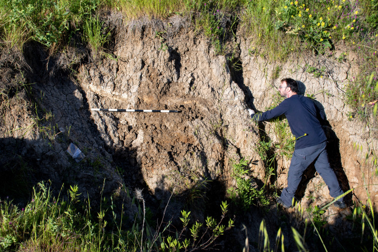 שטח מציאת החט