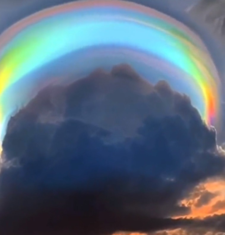 אי אפשר להישאר אדישים למחזה המיוחד, שנראה לקוח מסרט מצויר