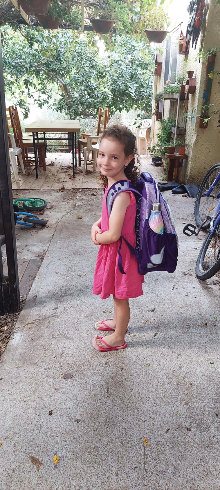 נטע גרוס אברך