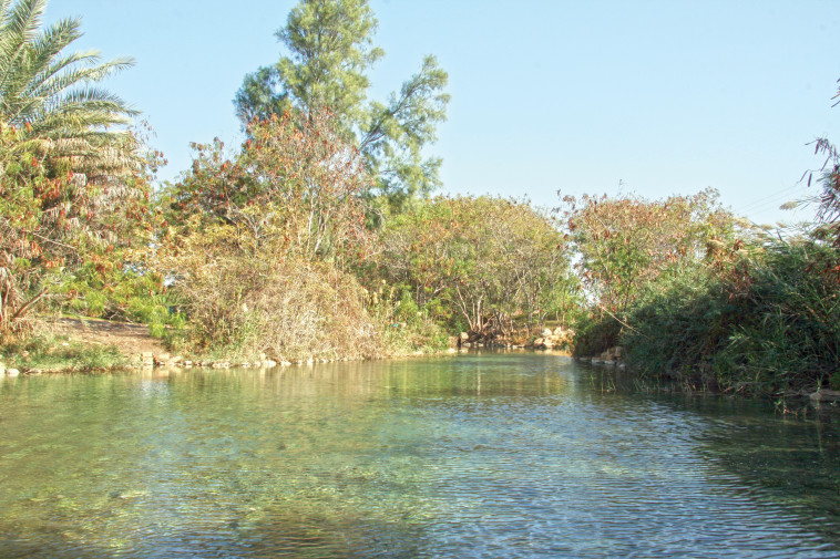 עין שוקק, עמק המעיינות (צילום: יעקב שקולניק)