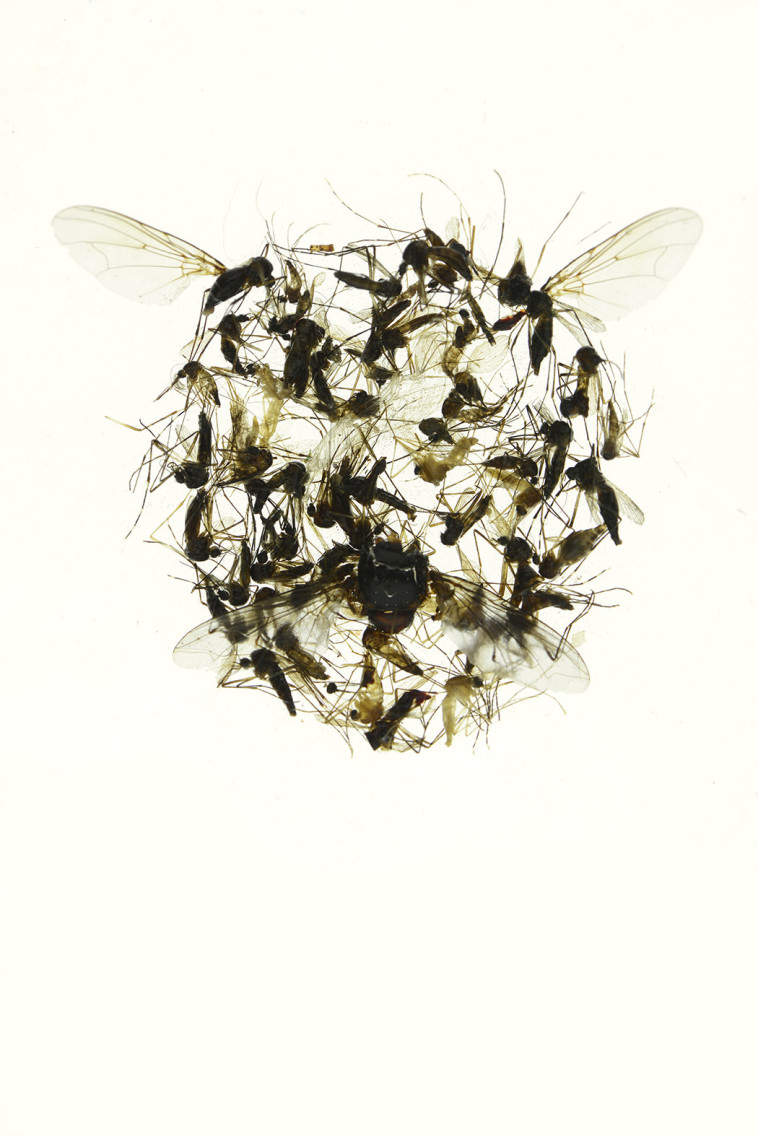 תערוכת ''מחילות''