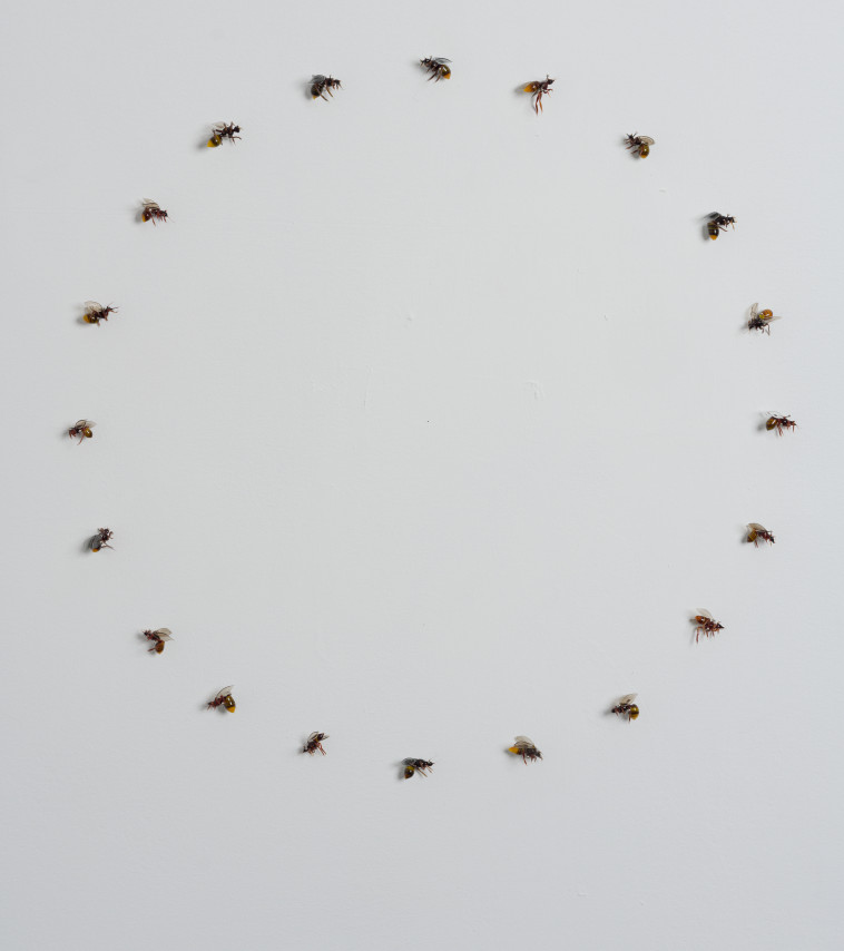 תערוכת ''מחילות'', דפנה קפמן