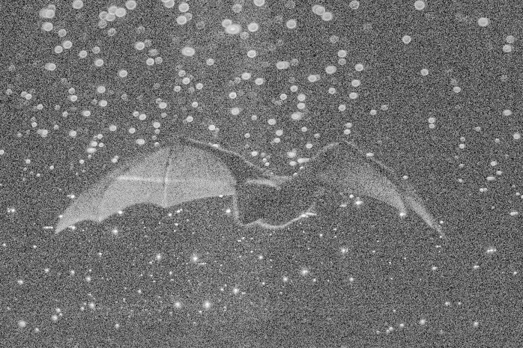 תערוכת ''מחילות''