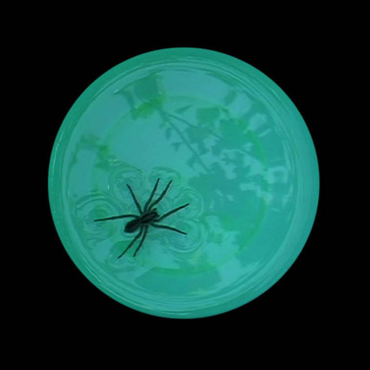 תערוכת ''מחילות''