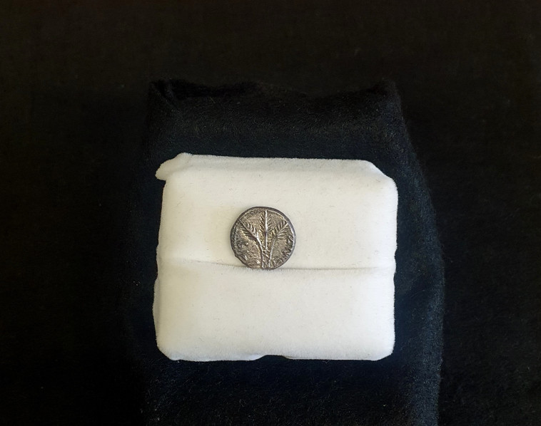 הרביעי מסוגו הידוע בעולם, שנשדד מאדמתו לפני 20 שנה