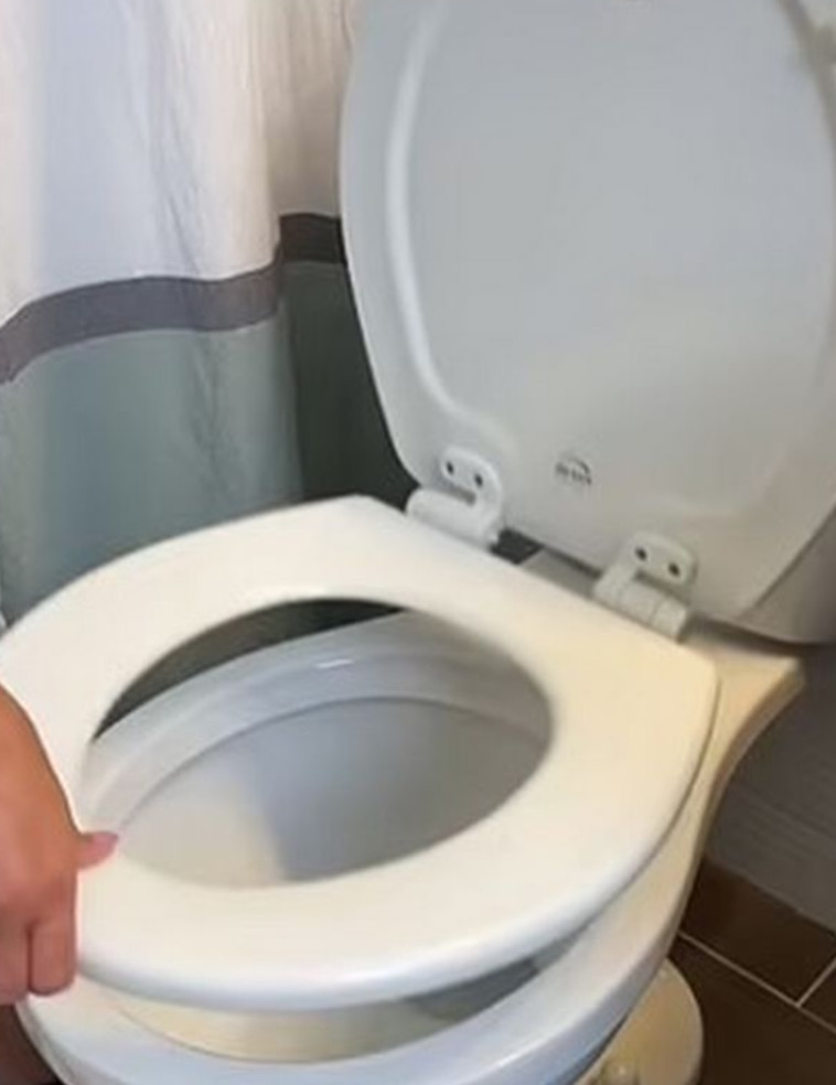 פלום הפרידה את מושב הפלסטיק מהאסלה והכניסה אותו למדיח הכלים