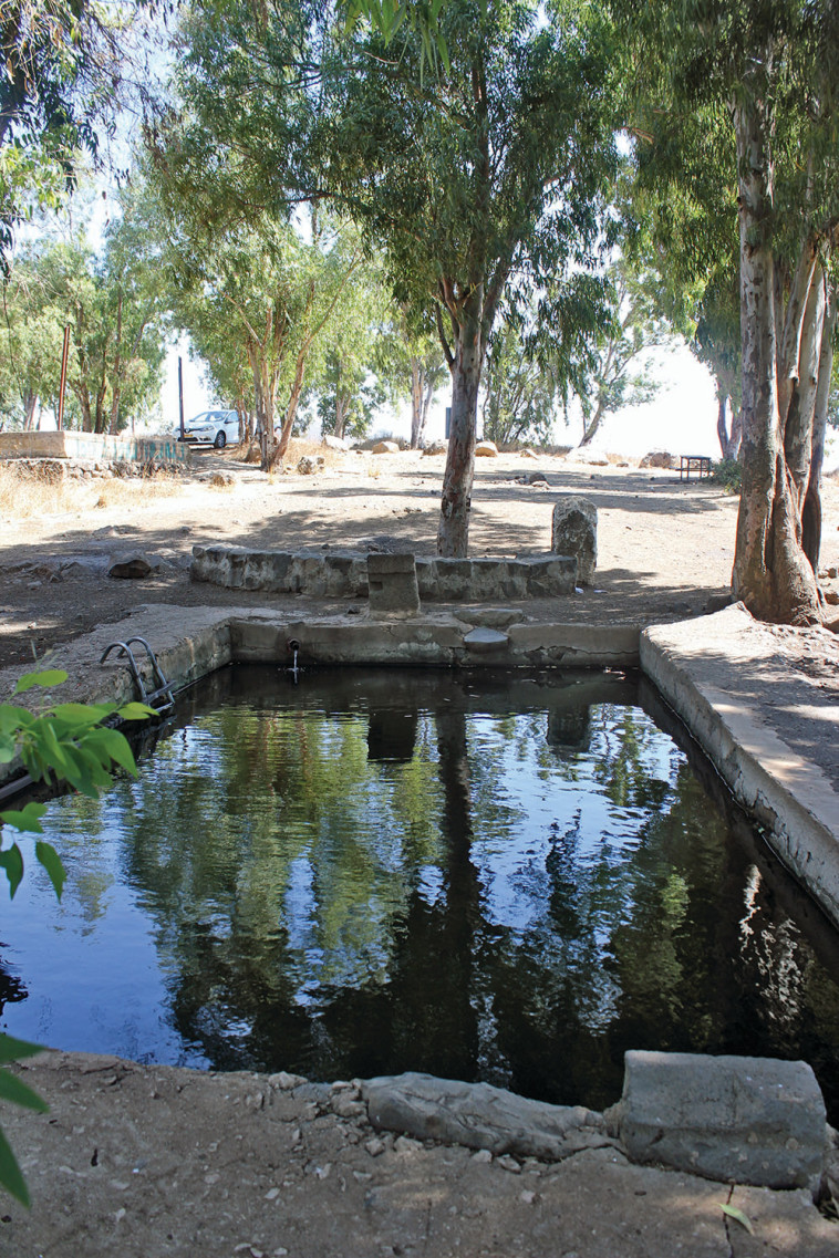Johader Pool (Photo: Golan Tourism)