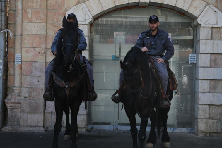 שוטרים רכובים על סוסים בירושלים (צילום: דוברות המשטרה)
