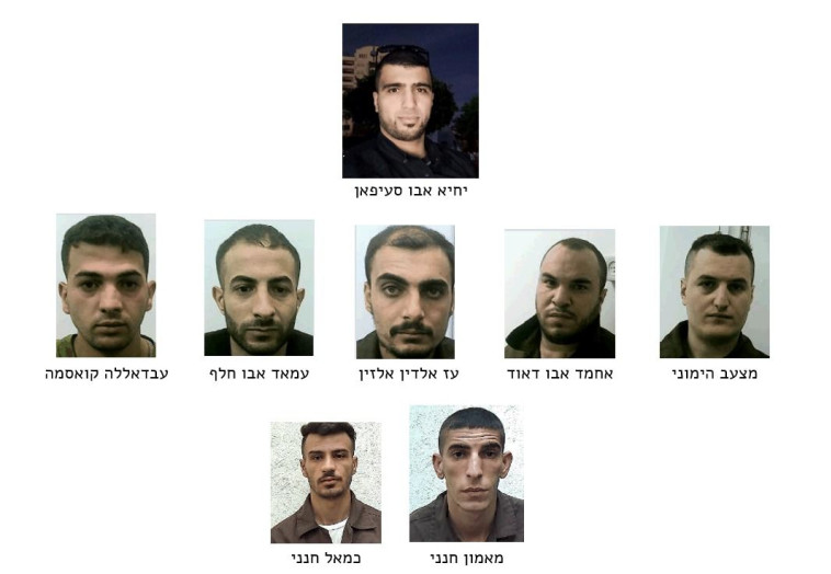 פעילי הטרור שנעצרו (צילום: שב''כ)
