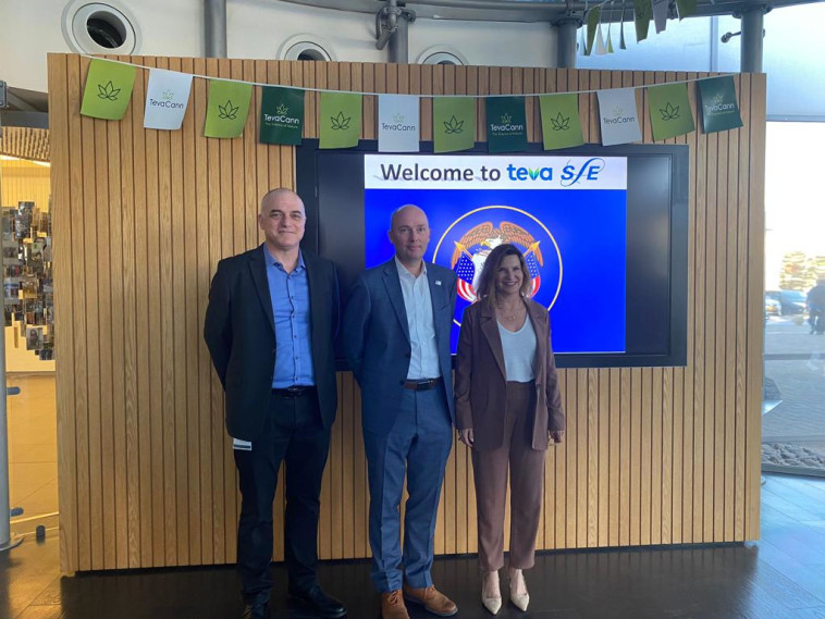 עמליה אדלר וקסמן, ספנסר ג'יי קוקס ואורי גת פלש