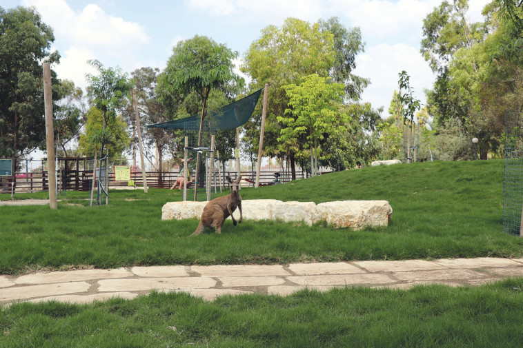 ראש השנה בגן גורו