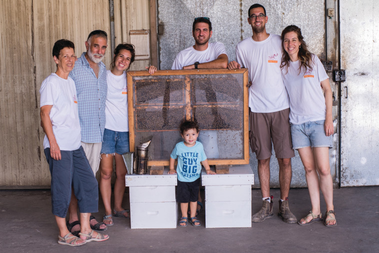 משפחת אופיר, משק אופיר 