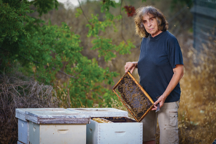 דבוראית נגה ראובן