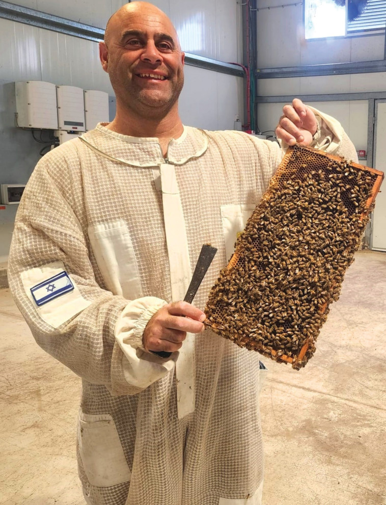 עמית יוסף, מכוורות הכל דבש