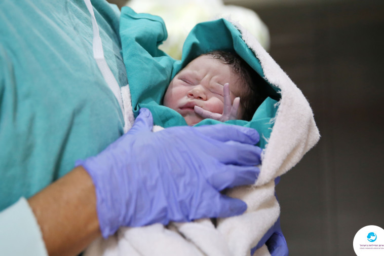 כ-970 תינוקות צפויים להיוולד במהלך החג (צילום: ארגון המיילדות בישראל )