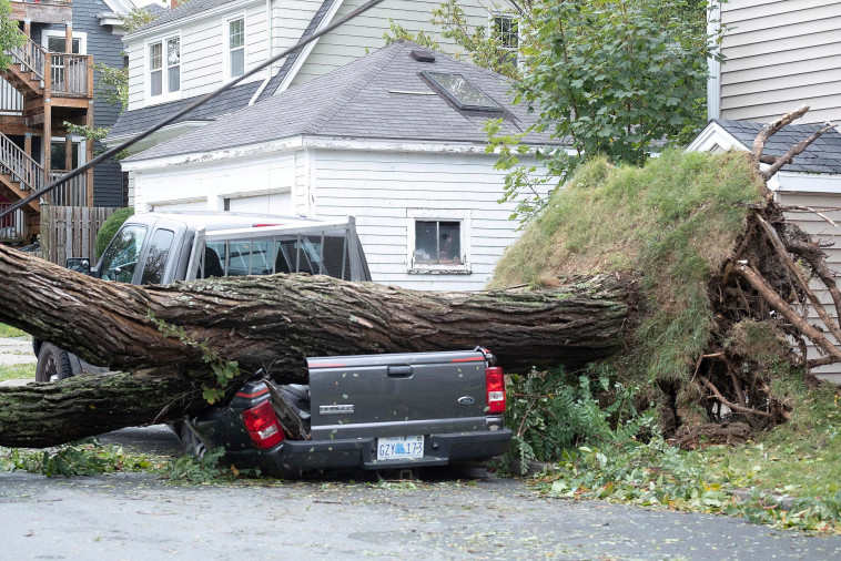 הוריקן ''פיונה'' מכה בקנדה  (צילום: REUTERS/Ted Pritchard)